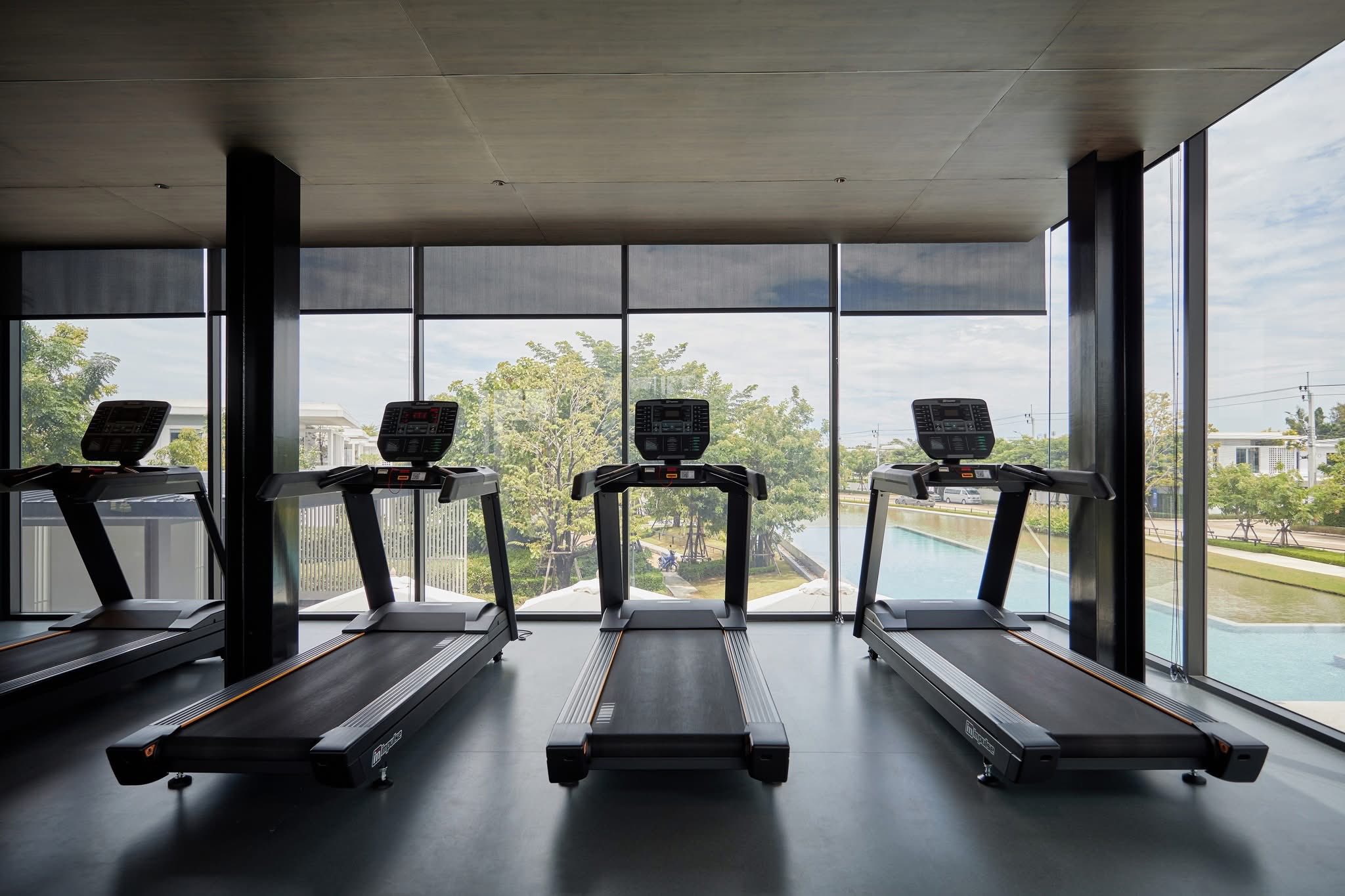 532404555_10237631635229173_1007966382556373397_n