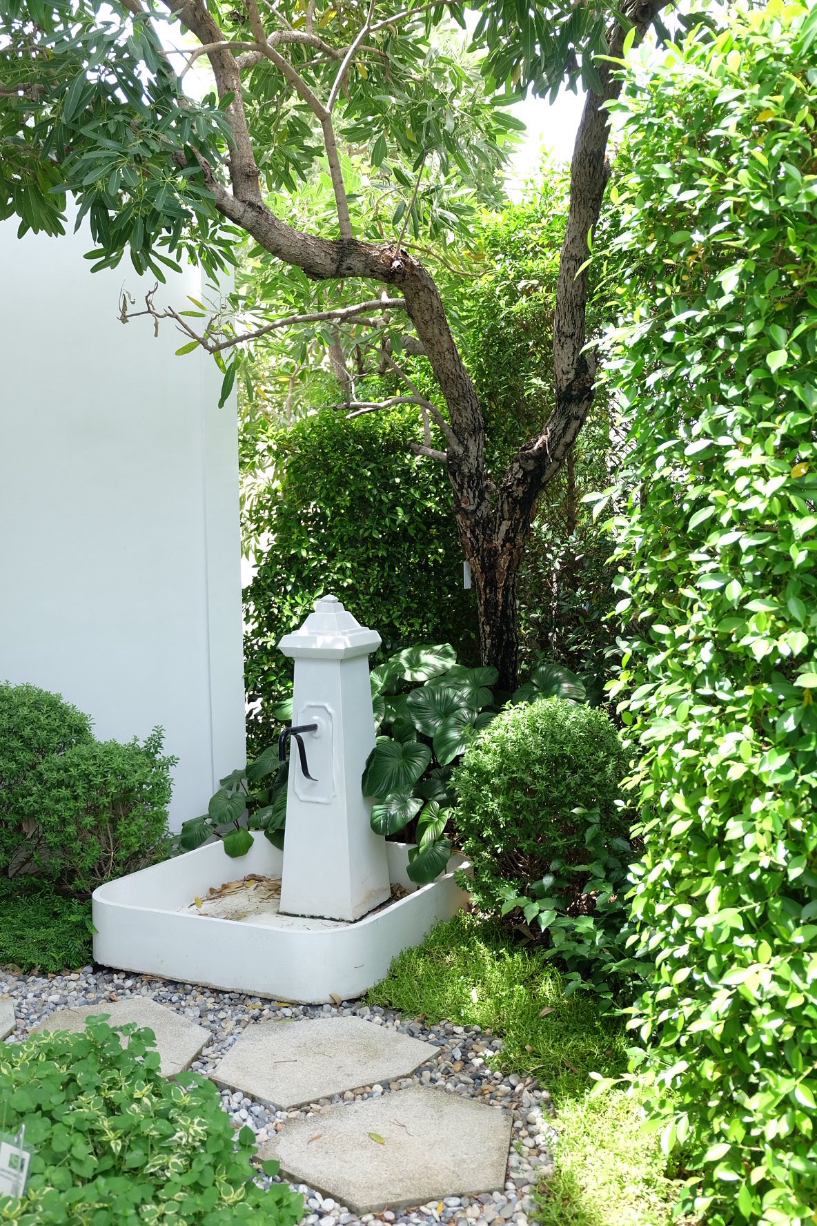 532605441_24445443491756358_800331976806729233_n