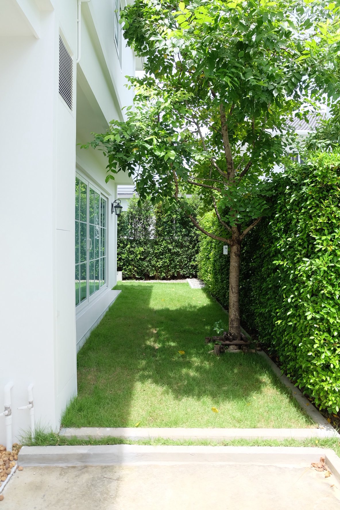 533025870_24445441415089899_6171626510852480879_n