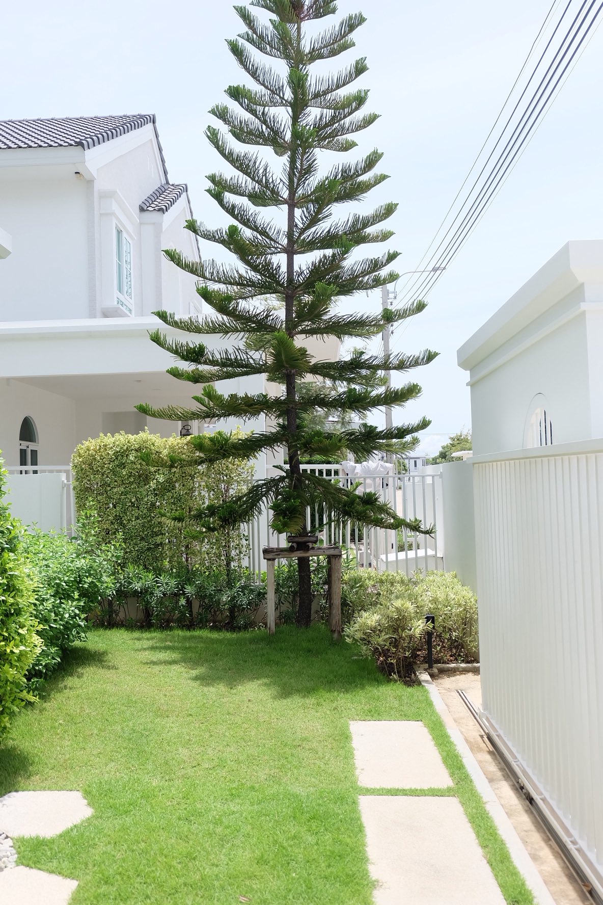 533577743_24445443415089699_5202947949651765913_n