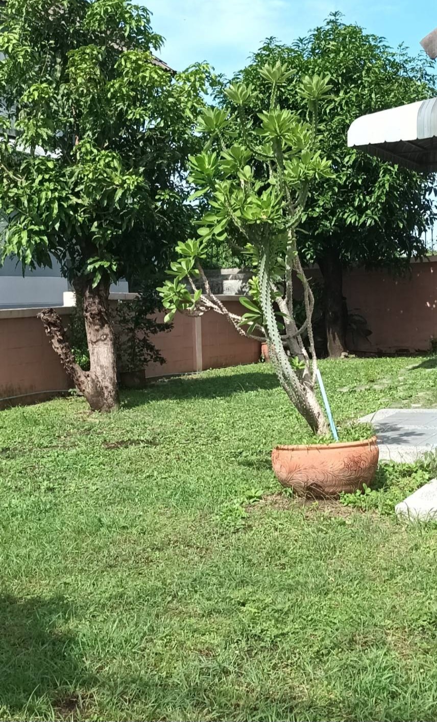 533782236_781494287579327_8308823796571495385_n